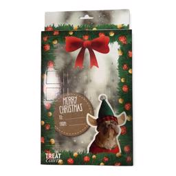TreatEaters Julkalender för hundar Jul Mini Munchy
