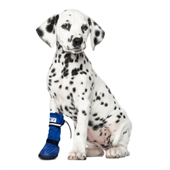 Medical Pets Boot Hundsko Skydd Vid Sjukdom & Utmaningar