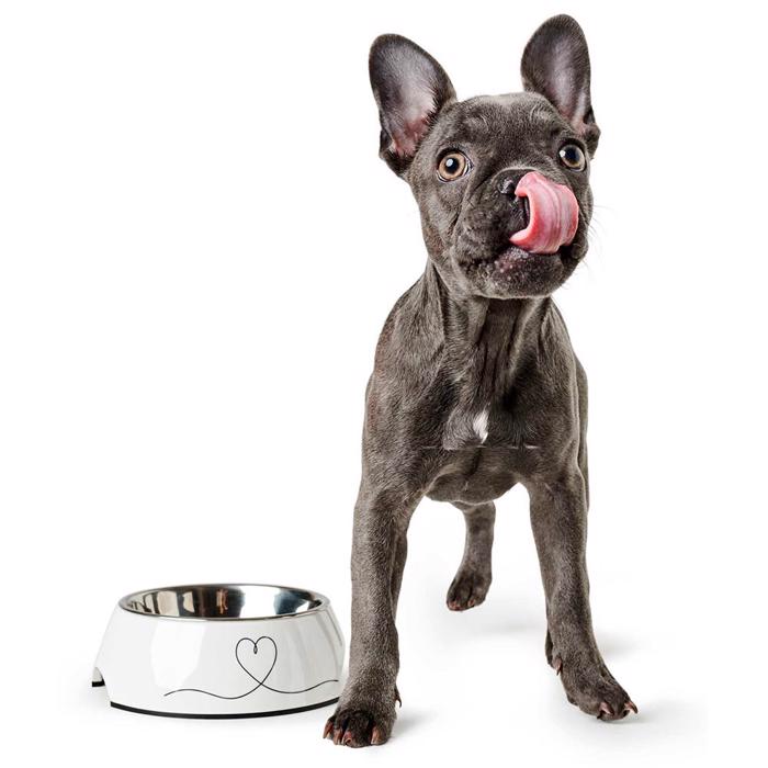 Hunter Melamine Dog Bowl Design Valencia