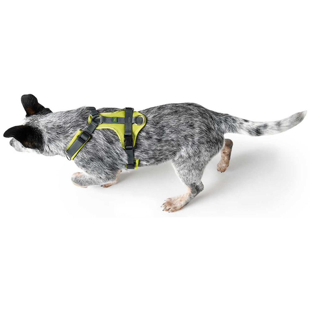 Hunter Maldon Y-sele för hunden i limegul/grå