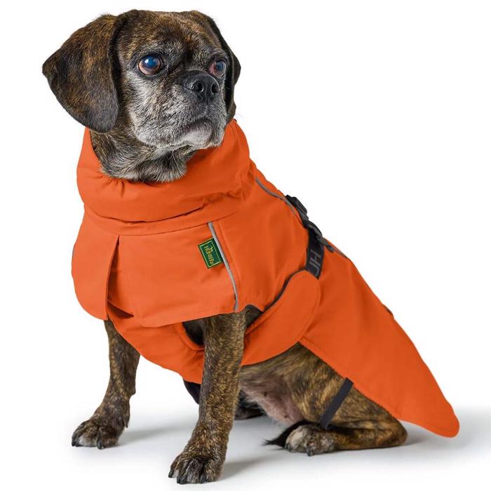 Hunter Hundjacka Nordby Bulldog & Breda Hundar Orange