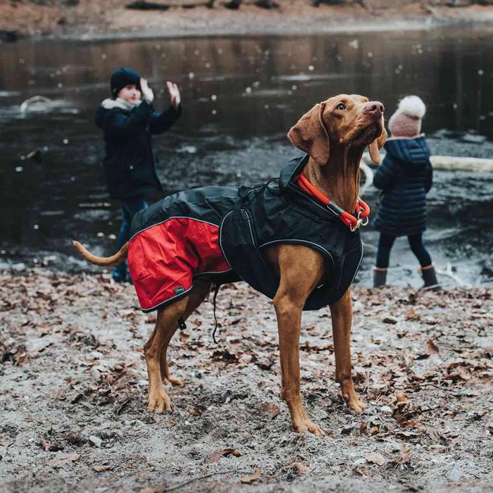 Hunter Uppsala Allrounder hundjacka 2in1 antracitröd