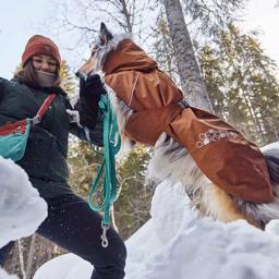 Jacka för hund