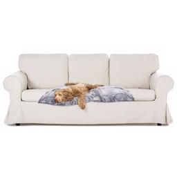 DGS Itchy Witchy Healing Filt för Hunden 76 x 102 cm