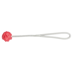 Jolly Paw Aqua Toy Ball med rep