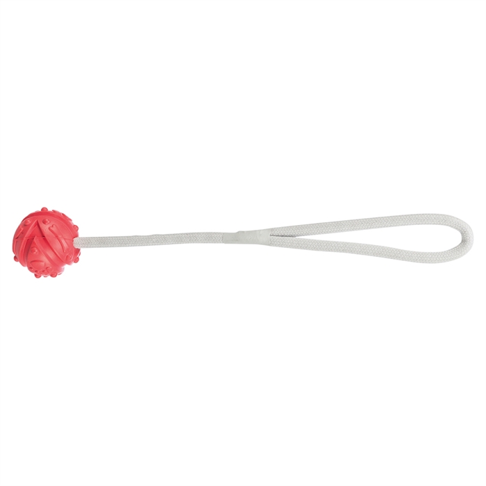 Jolly Paw Aqua Toy Ball med rep