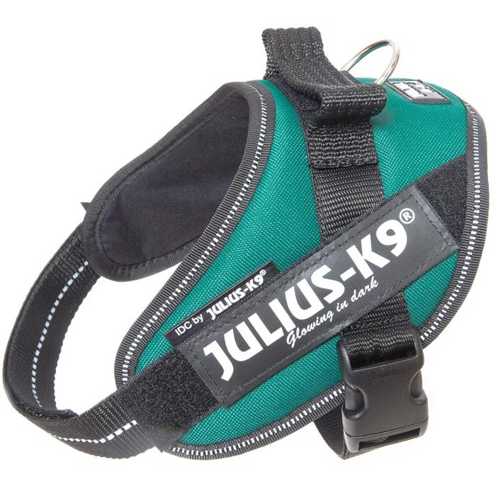 Julius K9 Dog IDC Selenium Dark Green