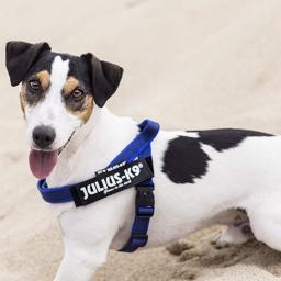 Julius K9 IDC Färg & Grå Hundsele Blå-Grå