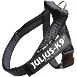 Julius K9 IDC Färg & Grå Hundsele Svart-Grå