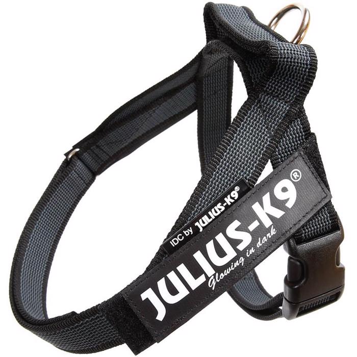 Julius K9 IDC Färg & Grå Hundsele Svart-Grå