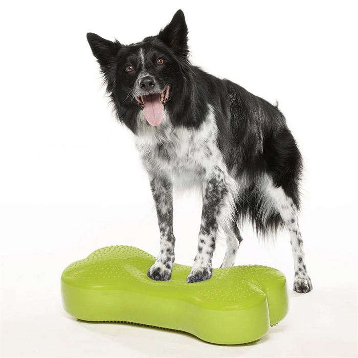 FitPaws K9 Fitbone Balans Träning För Hund Green