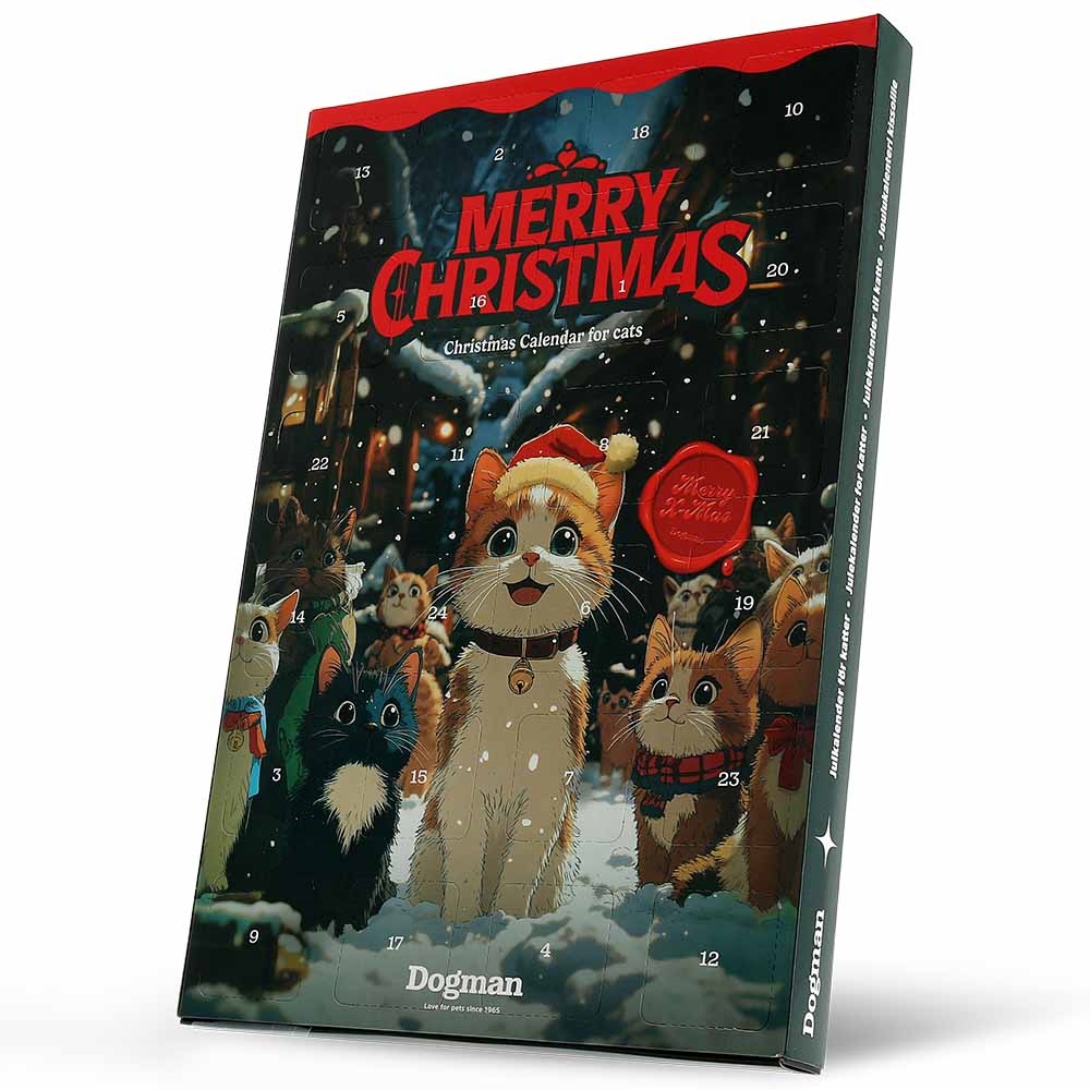 Julkalender för katter