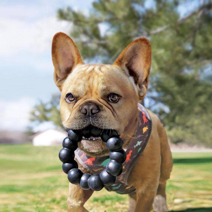 KONG Extreme Ring Strong Dog Toy XL