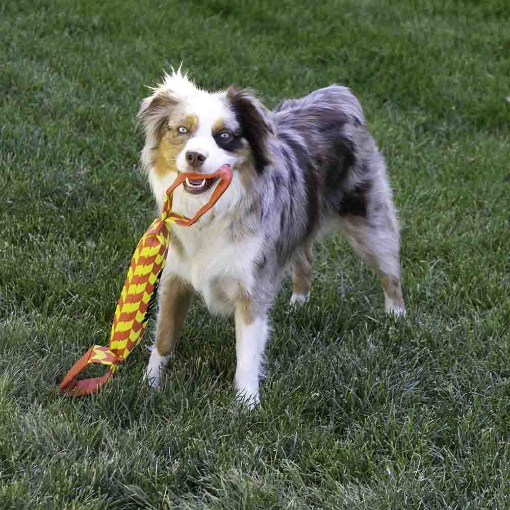 Kong hundleksak