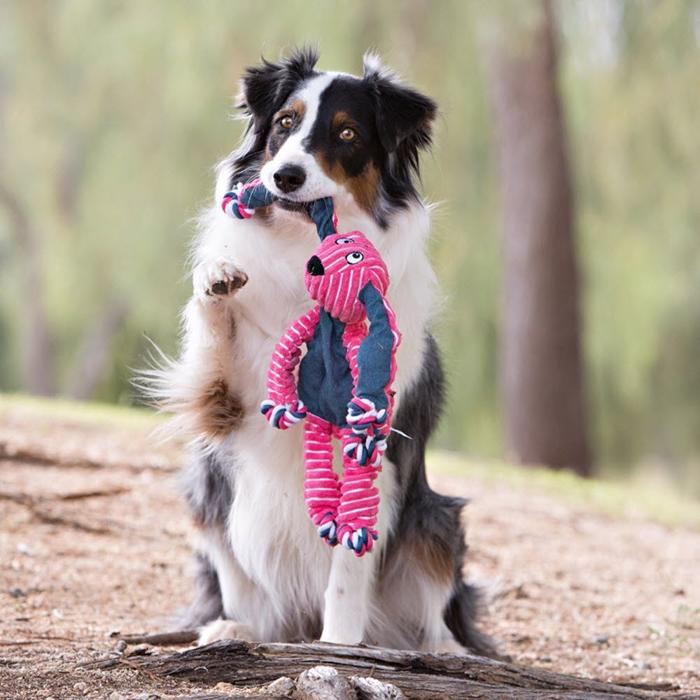 KONG Floppy Knots Kanin Så Söt En Bunny