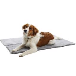 Kruuse Veterinärsäng Original Veterinären Använder Grå Anti-Slip