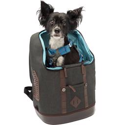 Kurgo K9 Rucksack Ta Hunden Med På Tur Heather Black
