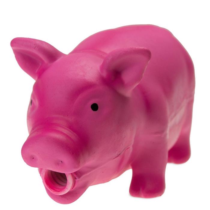  Pawise ROSA Latex grisbas med det coolaste ljudet