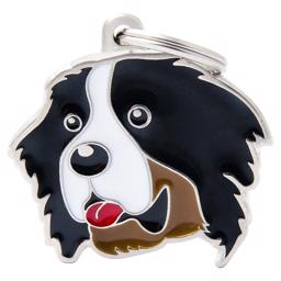 My Family Dog Tag med Berner Sennenhund