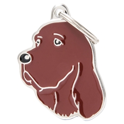 My Family Dog Tag med irländsk setter