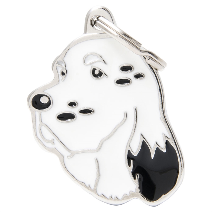 My Family Dog Tag med engelsk setter