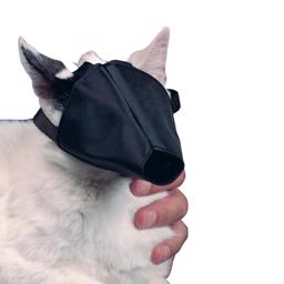 Buster Munkorg För Katt i Nylon Onesize