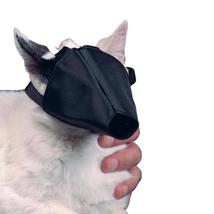 Buster Munkorg För Katt i Nylon Onesize