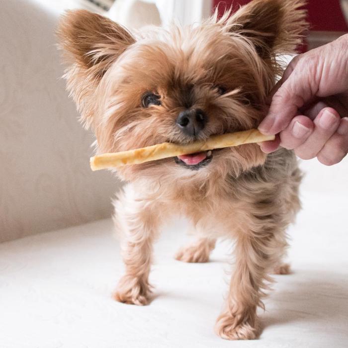 Earth Animal No-Hide Stix Dog American Beef 1 st