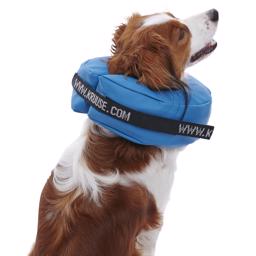 Buster uppblåsbar krage ljusblå PVC veterinärens favorit