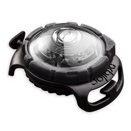 Hundlampor Orbiloc Dog Dual VIT
