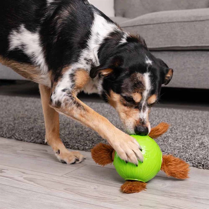 Outward Hound Snuffle N\' Treat Ball Level 2 Aktivitetsleksak med 4 Ekorrar