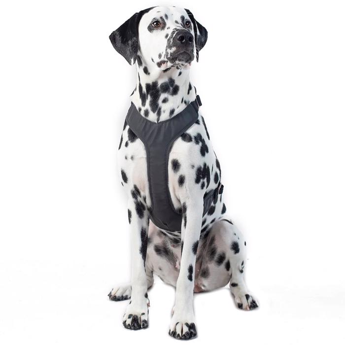Paikka Visibility Refleks Hundsele För Hunden Dark