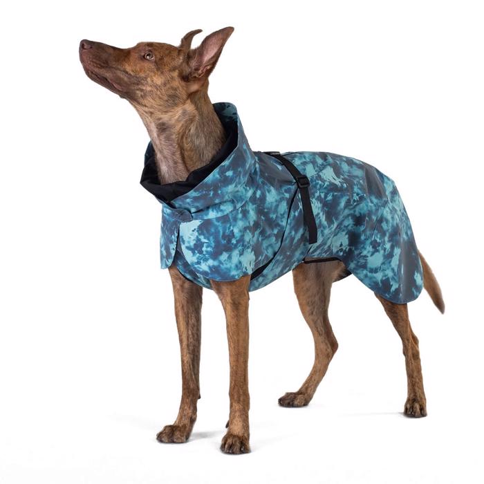 Paikka Visibility Refleks Regnjacka för Hunden Lite Petrol Dye