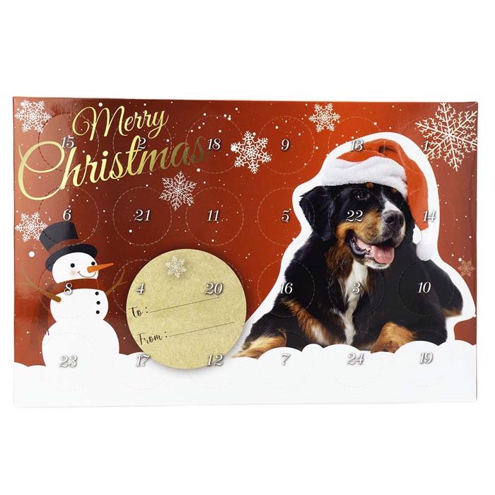 Julkalender för hundar Julminigodis