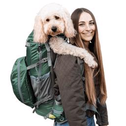 K9 Sport Säck Modell Kolossus Ryggsäck För Stora Hundar Myrtle Green