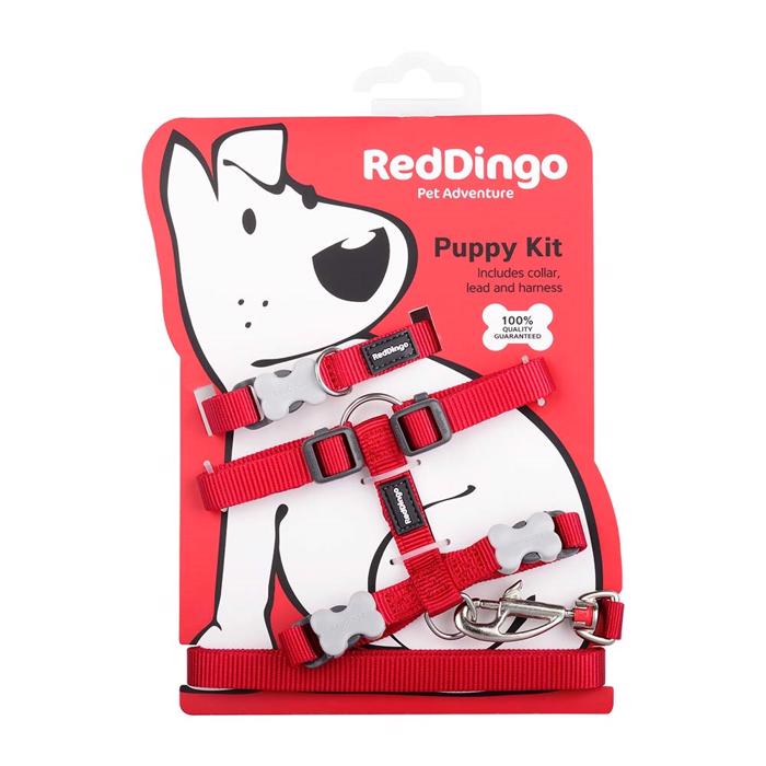 Red Dingo Valpset med Halsband, Sele och Koppel RÖD