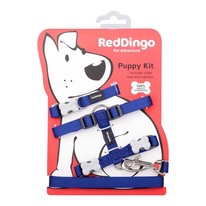 Red Dingo Valpset med Halsband, Sele och Koppel BLÅ
