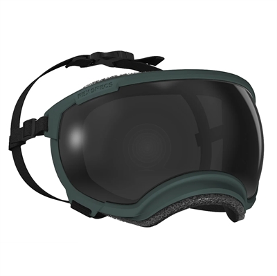 Hundglasögon REX Specs V2 Sol- & skyddsglasögon LARGE Forest Green