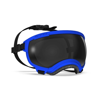 Hundglasögon REX Specs V2 Sol & Skyddsglasögon SMALL Balkan Blue