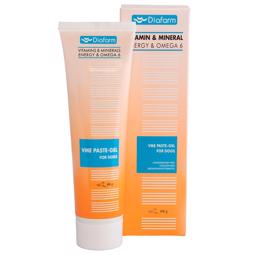 Diafarm Vitamin Mineral Energy Paste Gel med Omega 6