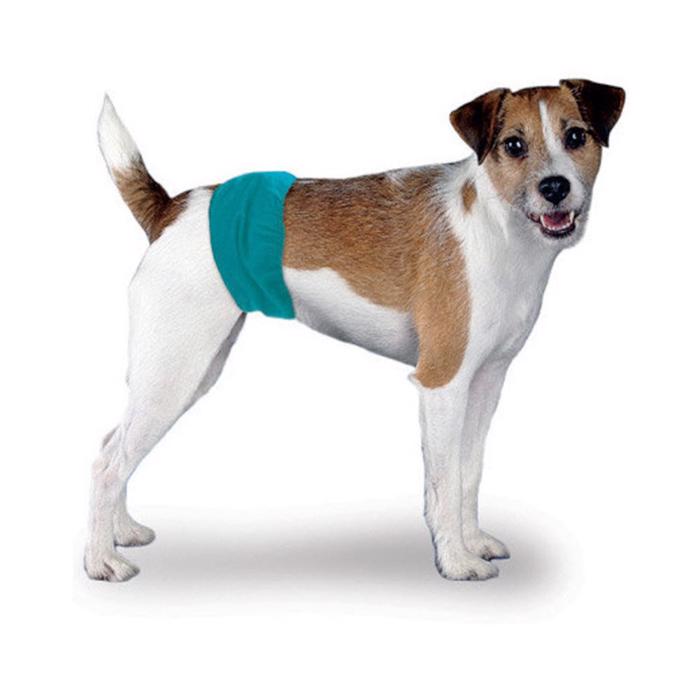 Simple Solution Hanhund Hygienbyxor