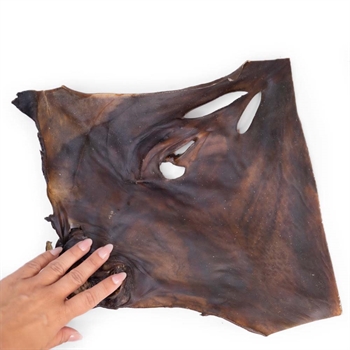 Snack It Kamelhud Platta Tugg Snack För Hunden