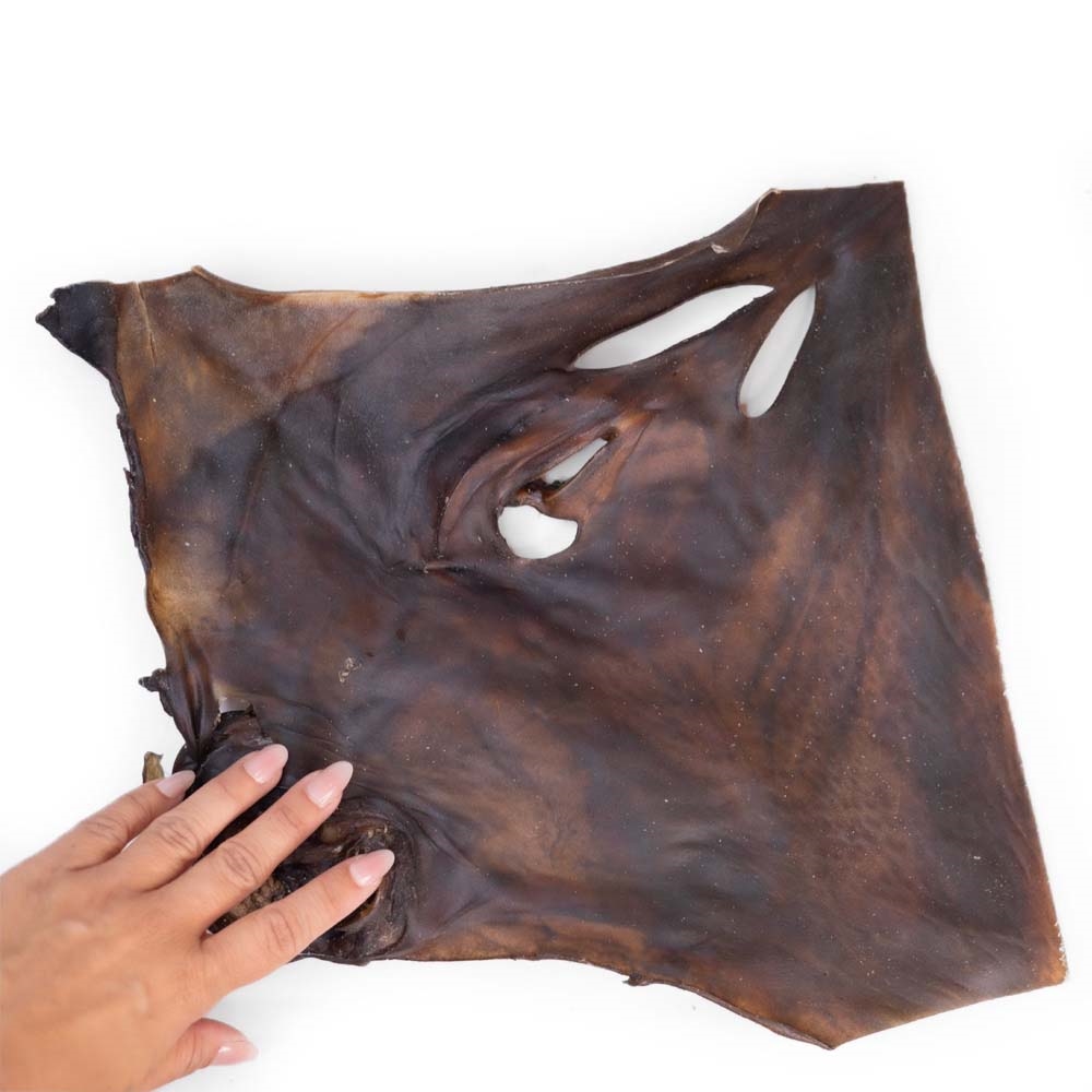 Snack It Kamelskinnsplatta Tuggodis För Hunden