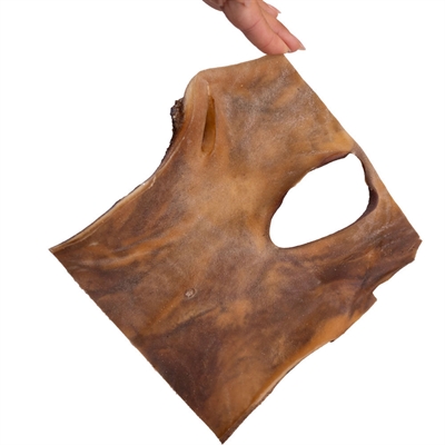 Snack It Kamelskinnsplatta Tuggis till hund 20x20 cm