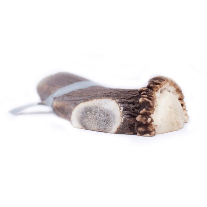 Taki Antler Natural Teeth Cleaner Från Red Deer Split XX-Large Plus