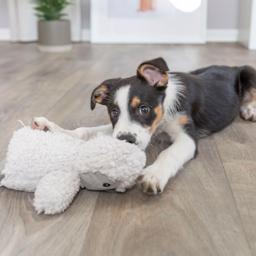 Trixie Hundgosedjur Be ECO Pingvinen Sussi