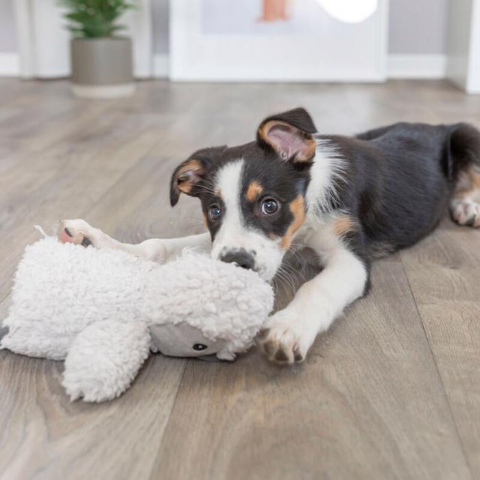 Trixie Hundbamse Be ECO Pingvinen Sussi