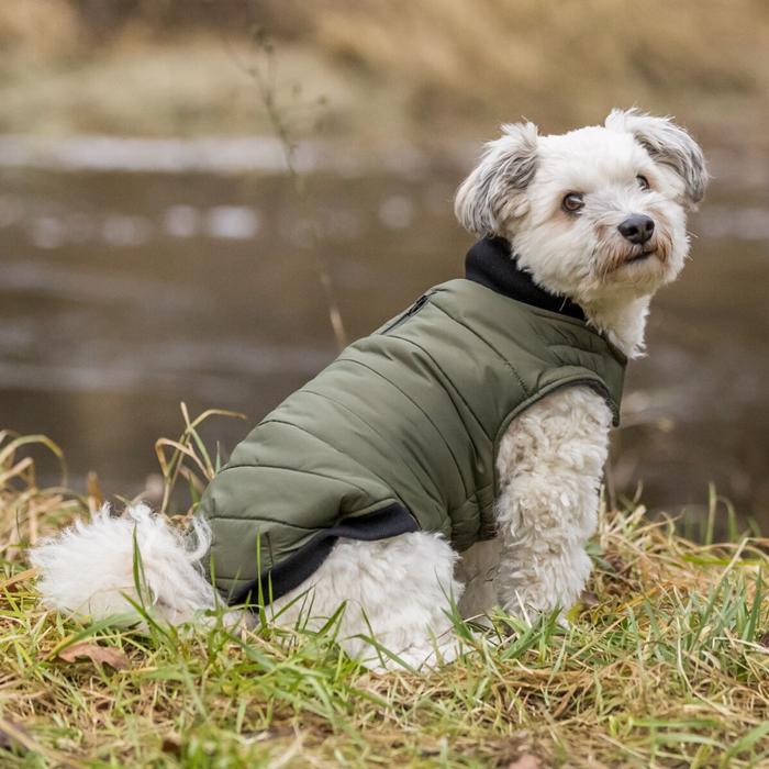 Trixie Dog Jacket Design Arlay i mörkgrönt