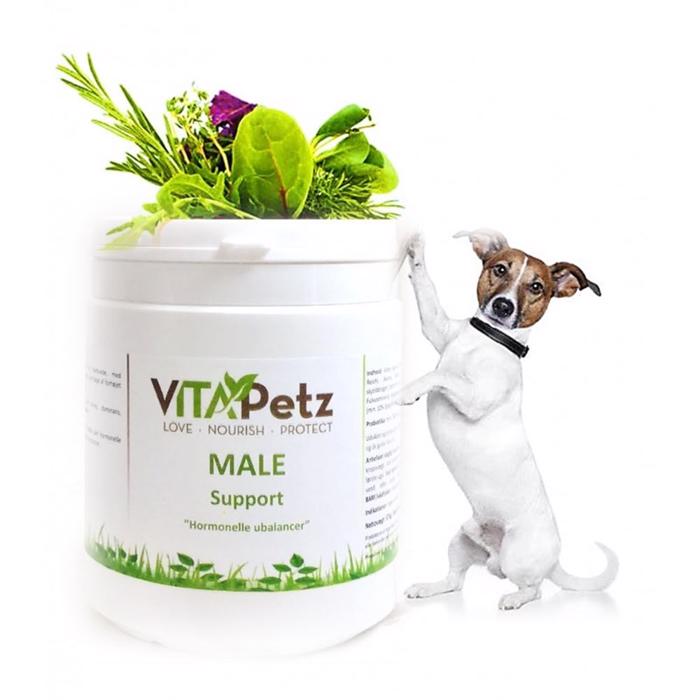 VitaPetz Male Support Hormonella Obalanser Hos Hanen
