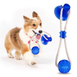Hund Lekboll Med Sugkopp För Rolig Draglek